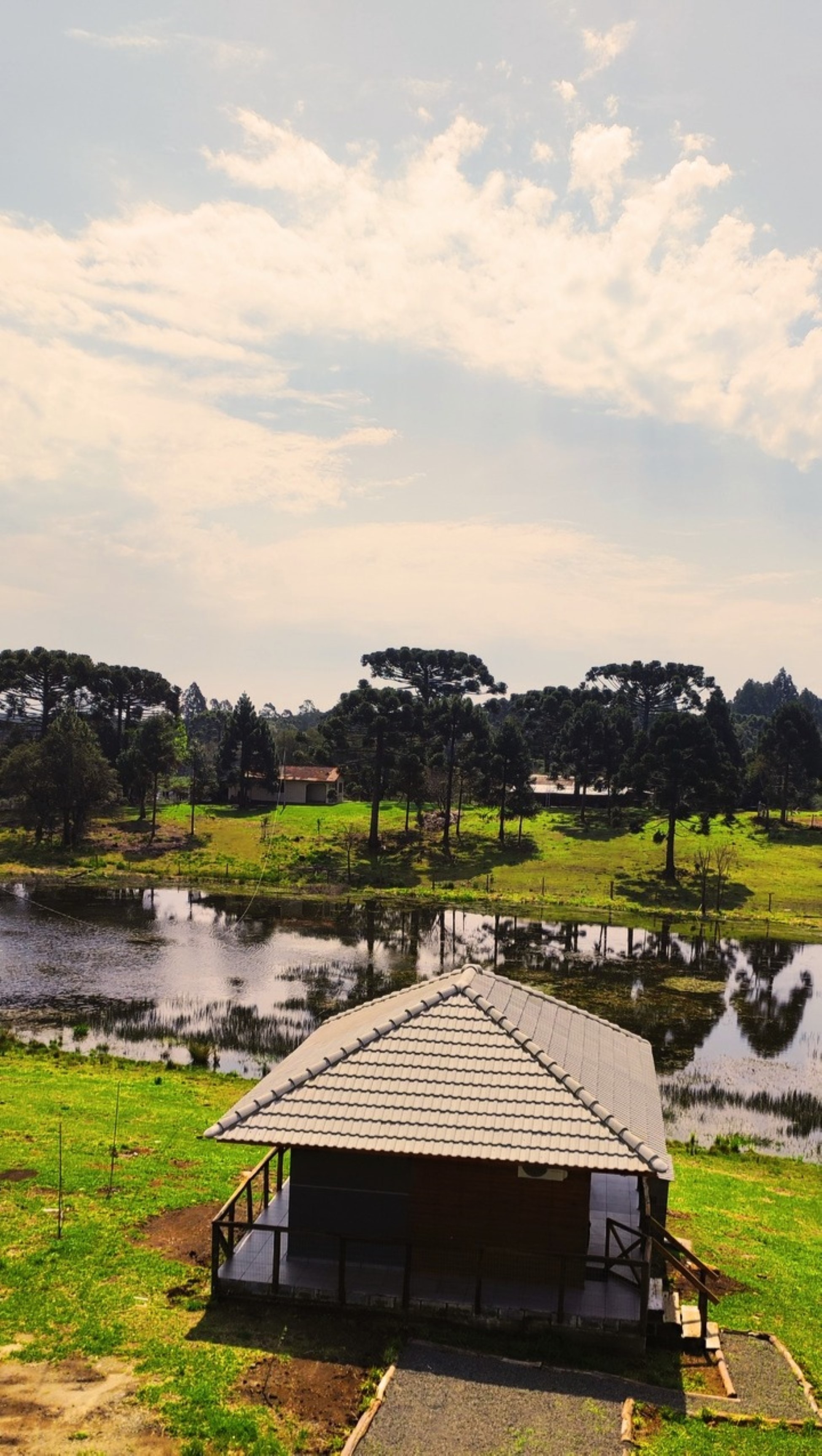 Vista externa e natureza ao redor da Cabana Premium